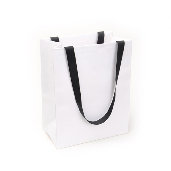 Paper Bags with Handles 5