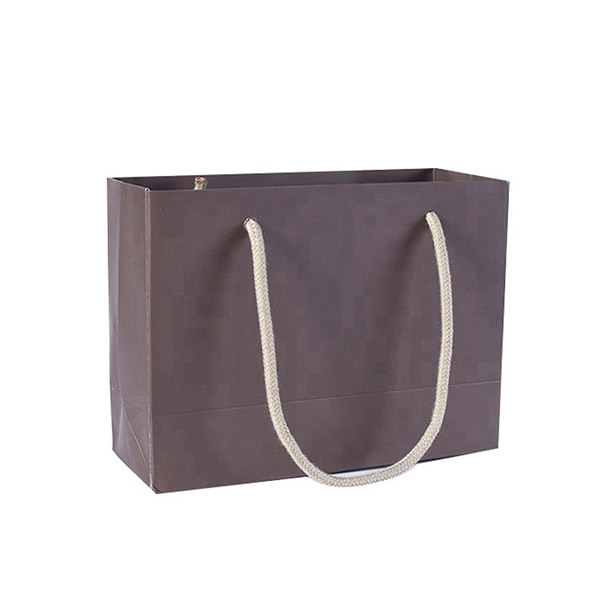 Paper Bags with Handles 6